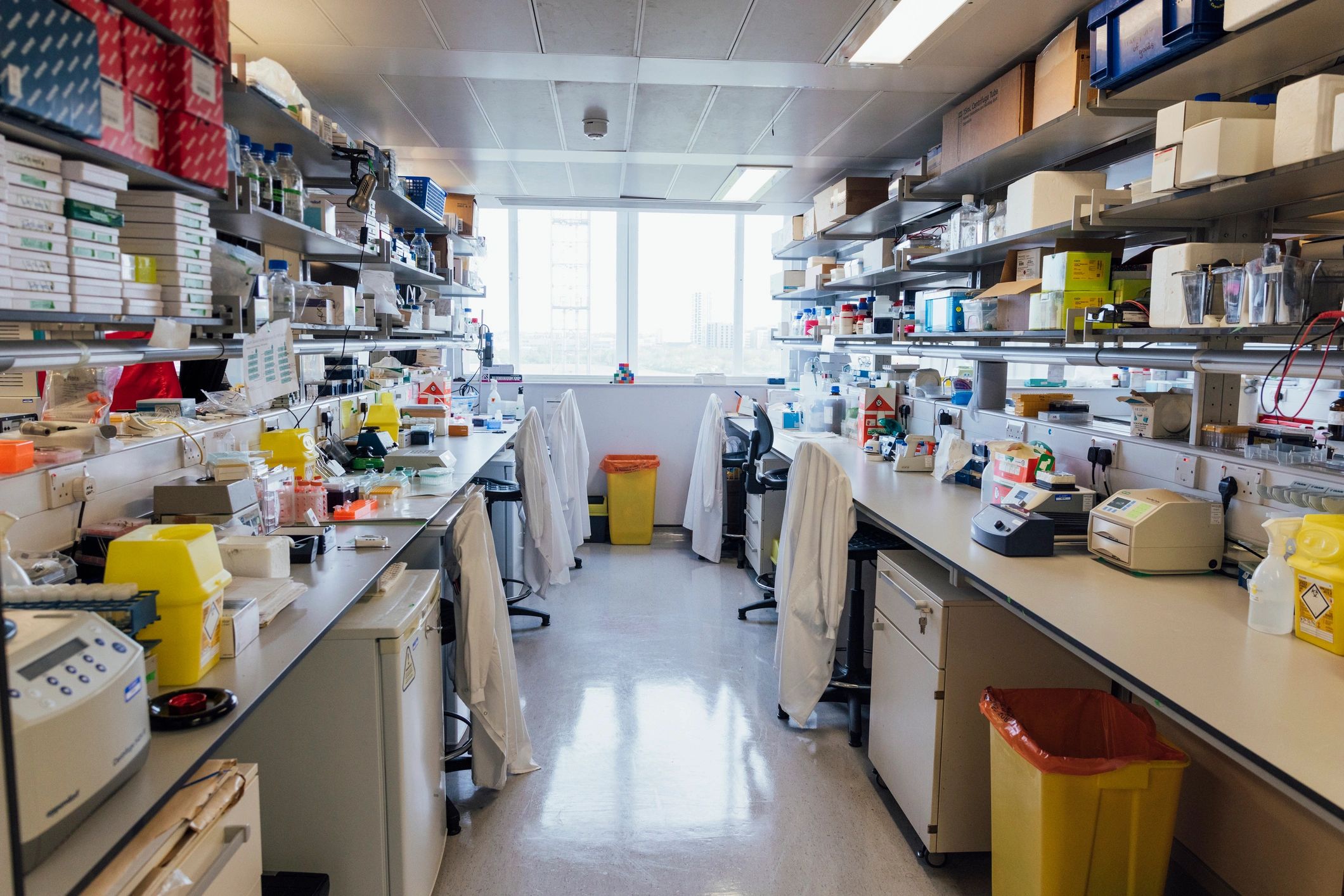 The Lab Behind Personalised Healthcare: Advances and Innovations